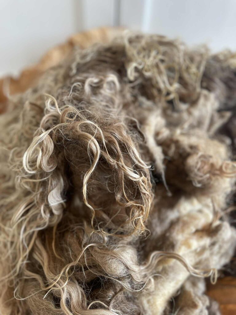 0a66bca0-20c6-4ddd-bbc6-53c5cc1a00e1