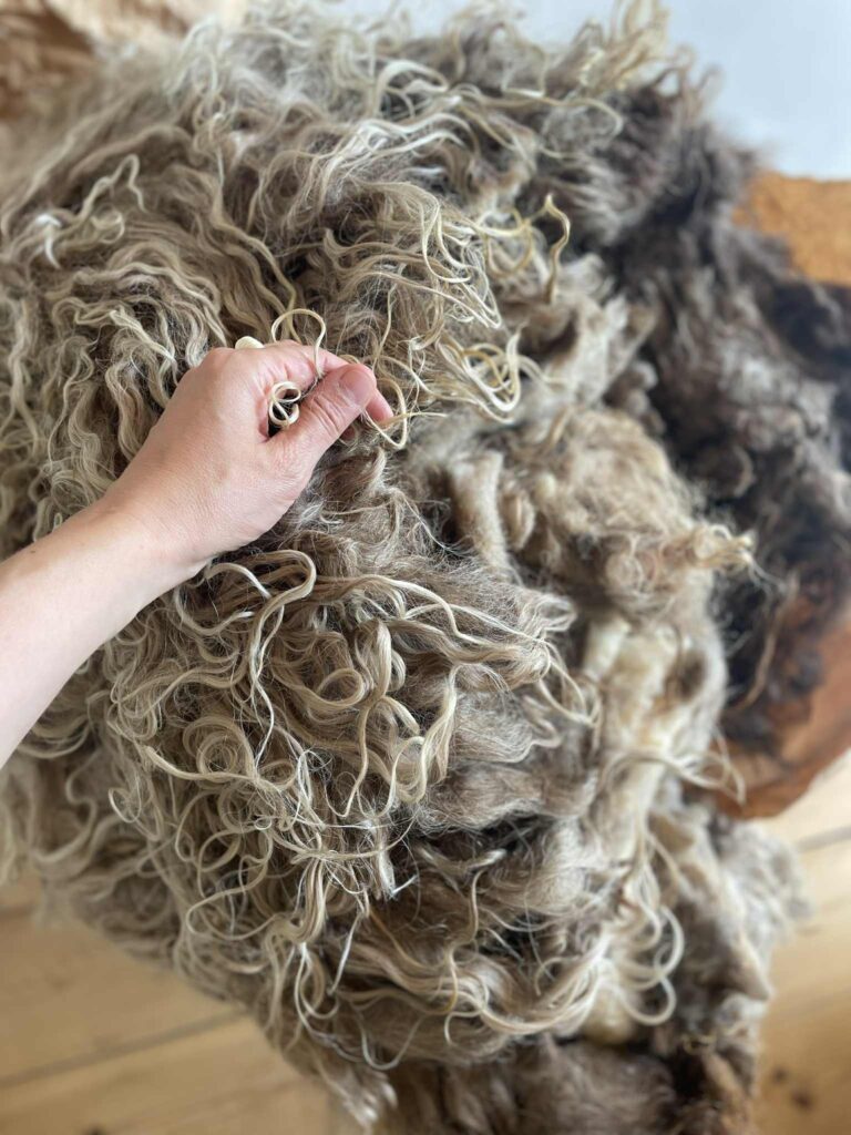 249d5451-c392-4aa2-ae33-5b748818ad61