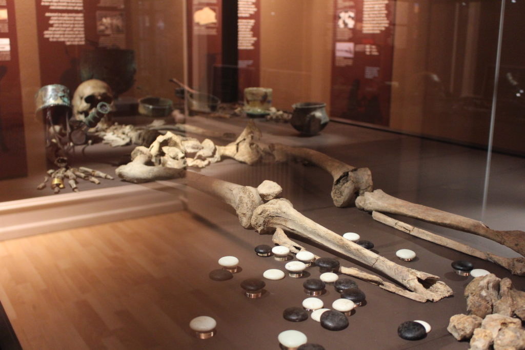 Foto af Fyrsten fra Ishøj: Skelet af fyrsten samt arkæologiske fund