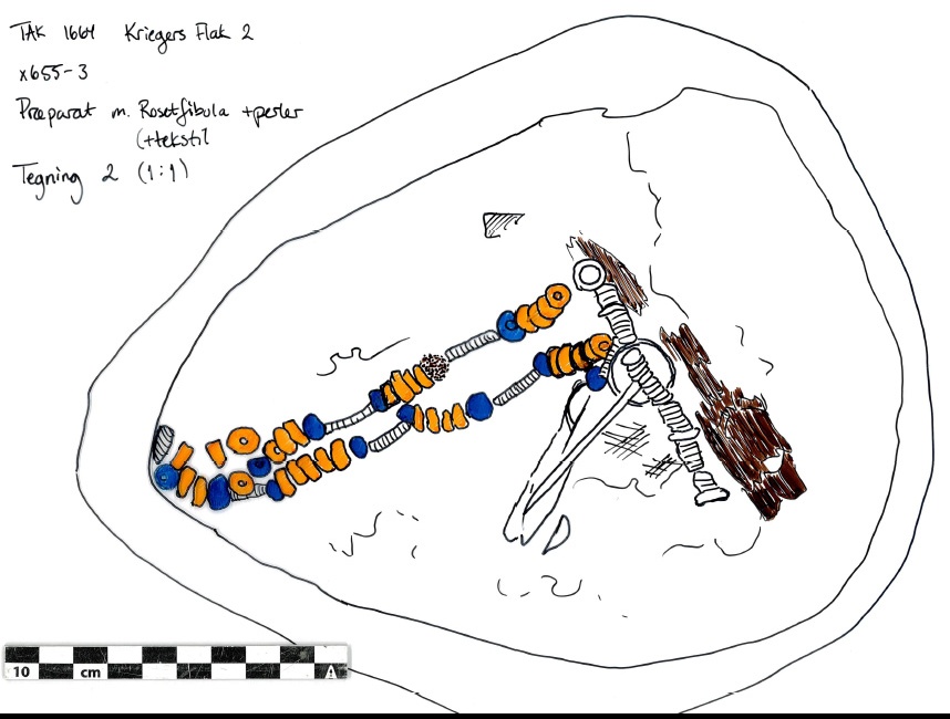 Rosetfibel 2 tegning præparat